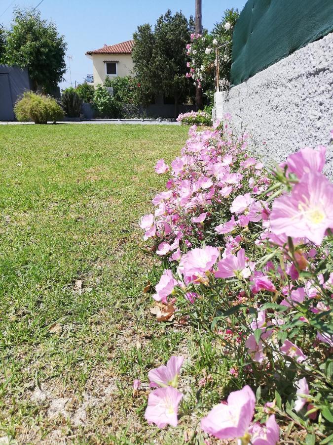 Anestis Studios Agios Georgios  Buitenkant foto
