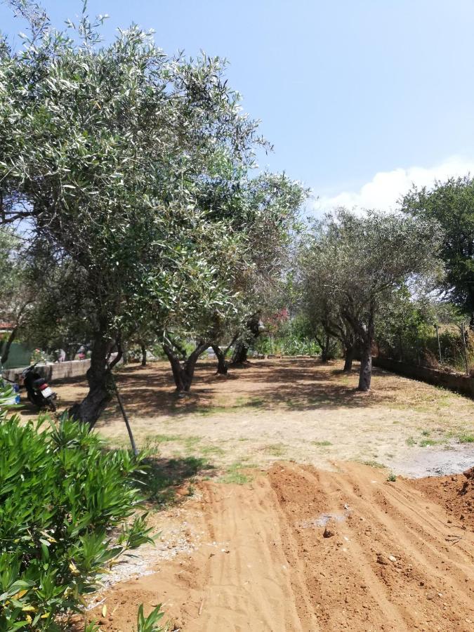 Anestis Studios Agios Georgios  Buitenkant foto